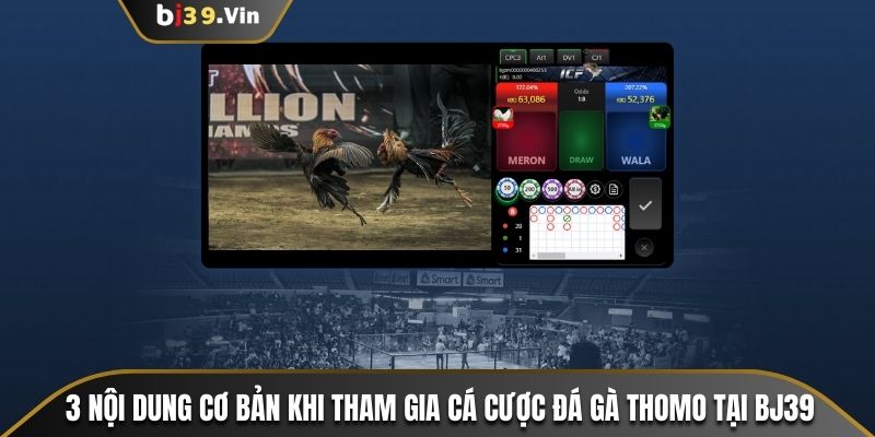 3 nội dung cơ bản khi tham gia cá cược đá gà Thomo tại Bj39