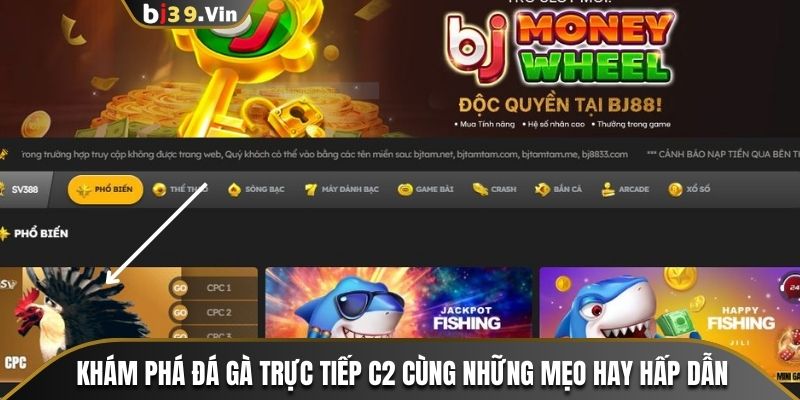 Khám Phá Đá Gà Trực Tiếp C2 Cùng Những Mẹo Hay Hấp Dẫn