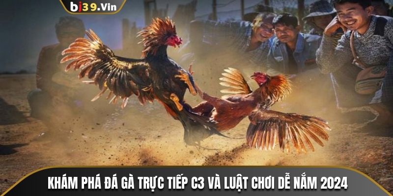 Khám Phá Đá Gà Trực Tiếp C3 Và Luật Chơi Dễ Nắm 2024