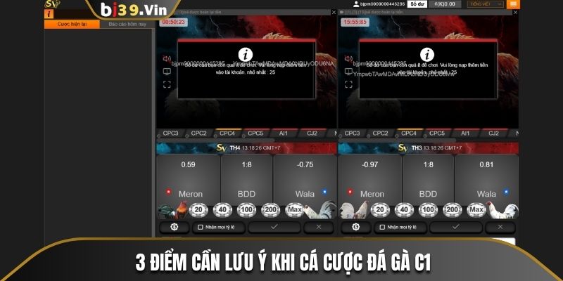 Lưu ý 3 điều sau để chơi cá cược hiệu quả