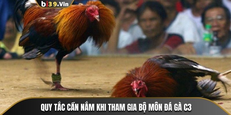 Quy tắc cần nắm khi tham gia bộ môn đá gà C3