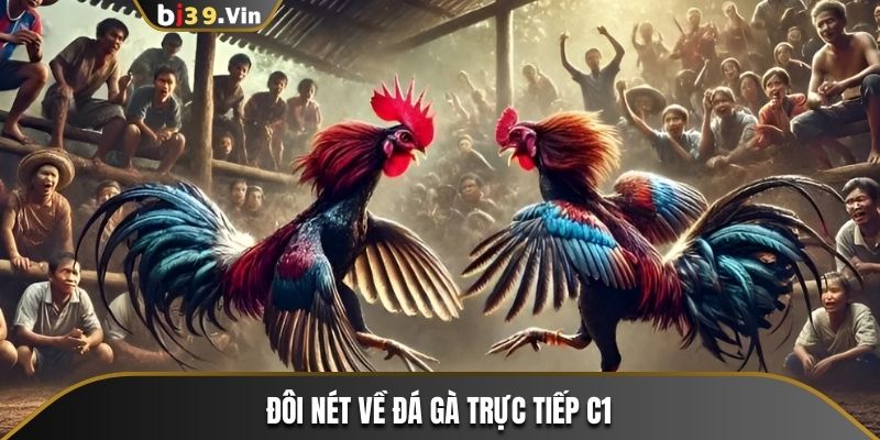 Sơ lược thông tin về đá gà trực tiếp C1