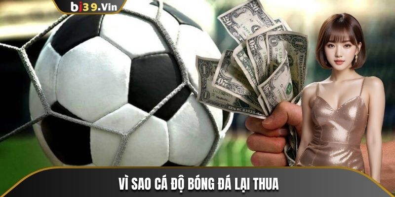 Tại Sao Cá Độ Bóng Đá Lại Thua? Bí kíp Cá Cược Hiệu Quả