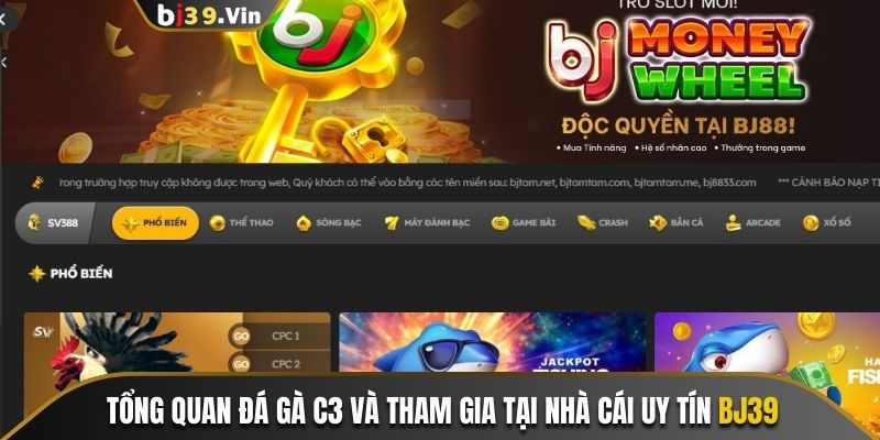 Tổng quan đá gà C3 và tham gia tại nhà cái uy tín Bj39